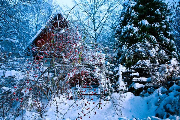 Winter cabin in scene ice — Stock Photo, Image