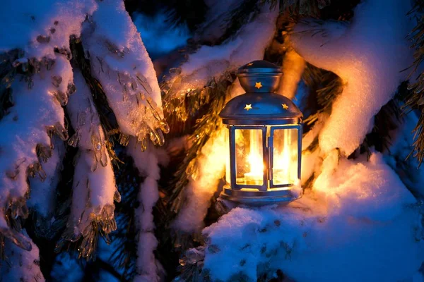Різдвяна сцена олія наповнена ліхтарем, що горить яскраво зі снігом покритим деревом — стокове фото