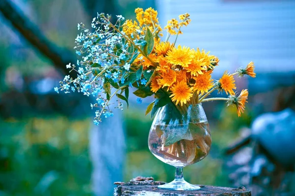 Bouquet con non dimenticarmi e denti di leone — Foto Stock