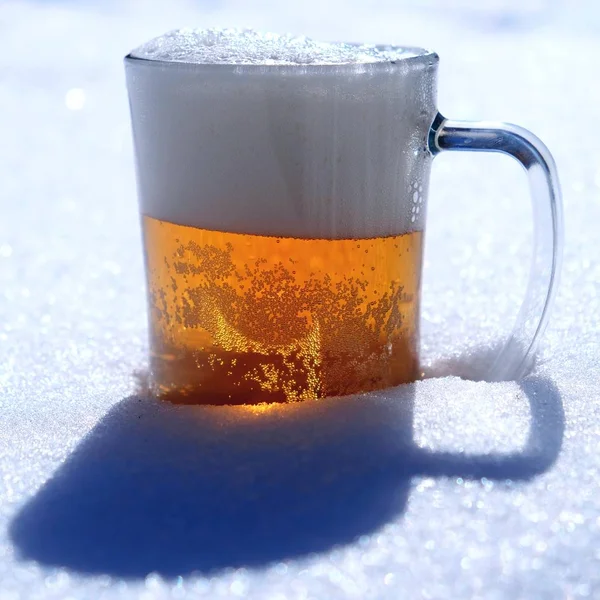 Beer snow sun ight spring day — Stock Photo, Image