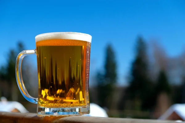 Beer snow sun ight spring day — Stock Photo, Image