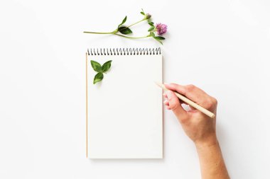 Kalem kağıt defter yanında tutan kadın el.