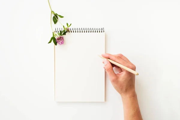 Kadın el kağıt defter üzerinde yazma