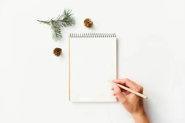 Kadın el, defter ve köknar dalı ile Mockuo.