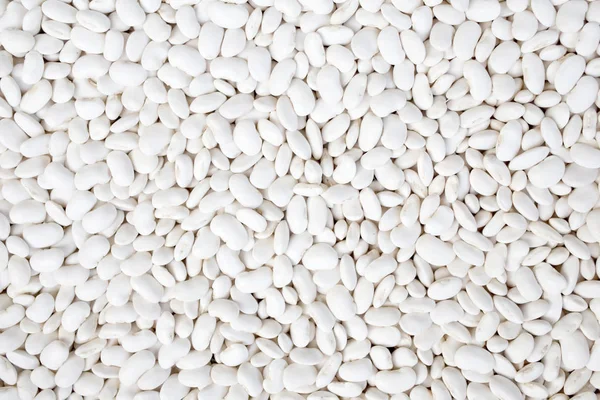 Texture di fagioli bianchi — Foto Stock
