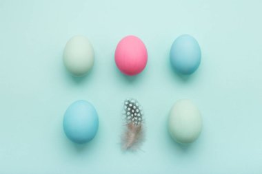 Yumurta ve bıldırcın tüy turkuaz arka plan üzerinde en az sayıda. 