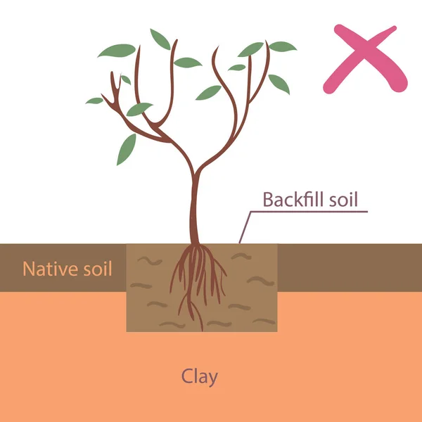Ilustración incorrecta del vector plano de plantación de árboles — Vector de stock