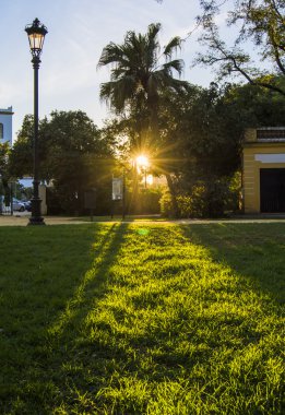 Güzel balerin açık havada dans için egzersizleri yapıyor