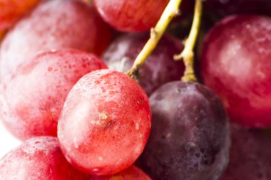 Beyaz arkaplanda bir demet üzüm