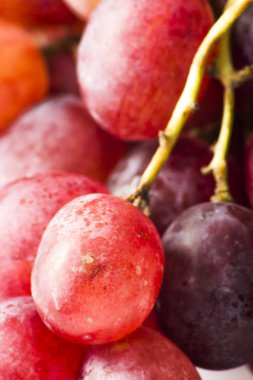 Beyaz arkaplanda bir demet üzüm