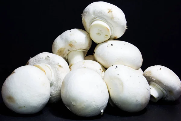 Lot of mushrooms on black background — Stock Photo, Image