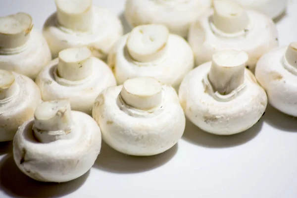 Un sacco di funghi su sfondo bianco — Foto Stock