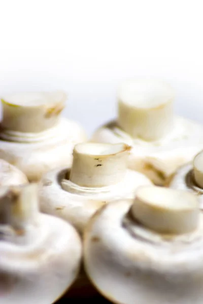 Un sacco di funghi su sfondo bianco — Foto Stock