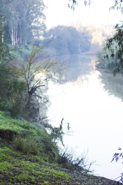 Sonbaharda bir nehir manzara