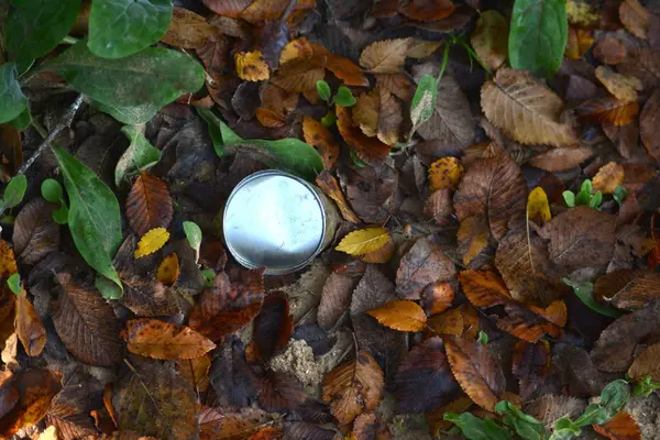 Cadute colorate foglie autunnali e una lattina arrugginita a terra — Foto Stock