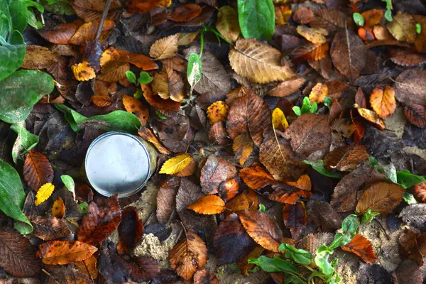 Падшие цветные осенние листья и ржавая банка на земле — стоковое фото