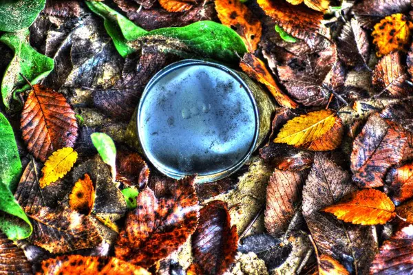 Folhas de outono coloridas caídas e uma lata enferrujada no chão — Fotografia de Stock