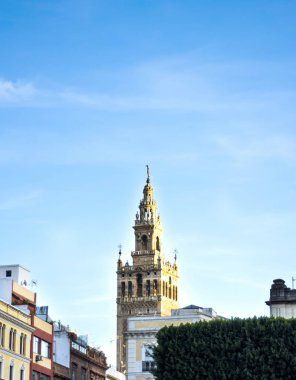 Ben görüntülemek Seville Katedrali Giralda denilen kulenin