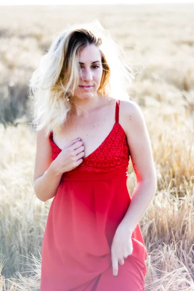 Piękne blond kobieta w czerwonej sukience, na polu pszenicy o zachodzie słońca — Zdjęcie stockowe