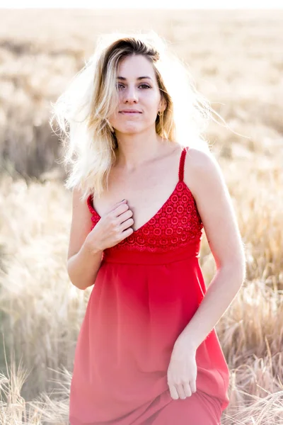 Mooie blonde vrouw in een rode jurk, op een tarweveld bij zonsondergang — Stockfoto