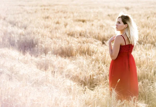 Beautiful blond woman in a red dress, on a wheat field at sunset