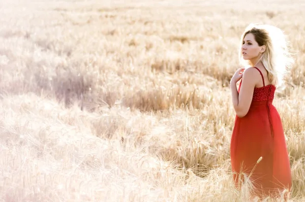 Belle femme blonde en robe rouge, sur un champ de blé au coucher du soleil — Photo