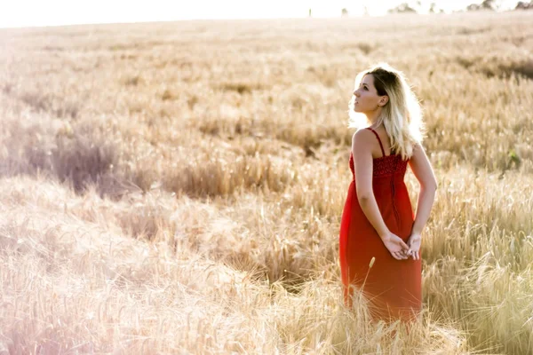 Vacker blond kvinna i en röd klänning, på ett vetefält i solnedgången — Stockfoto