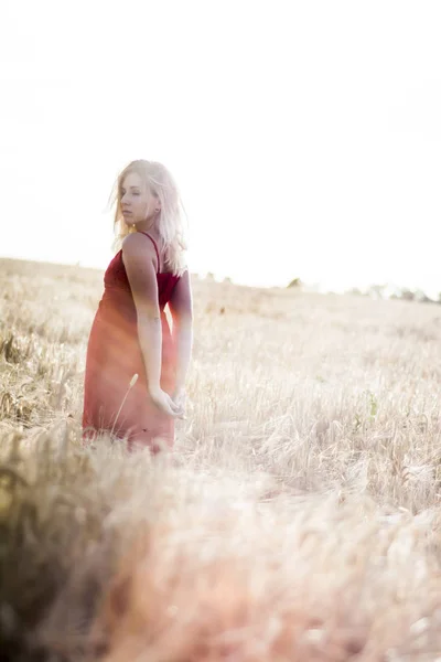 लाल ड्रेसमध्ये सुंदर गोरा स्त्री, सूर्यास्ताला गहू शेतात — स्टॉक फोटो, इमेज