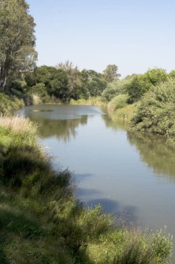 Bir nehir güneşli bir günde ağaçlarla peyzaj
