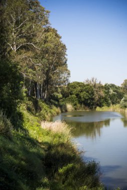 Bir nehir güneşli bir günde ağaçlarla peyzaj