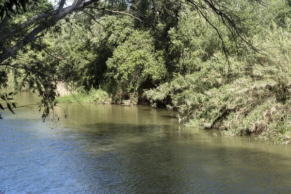 Landscape of a river with trees on a sunny day — Stock Photo, Image