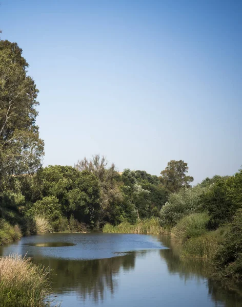 Landscape of a river with trees on a sunny day — Stock Photo, Image