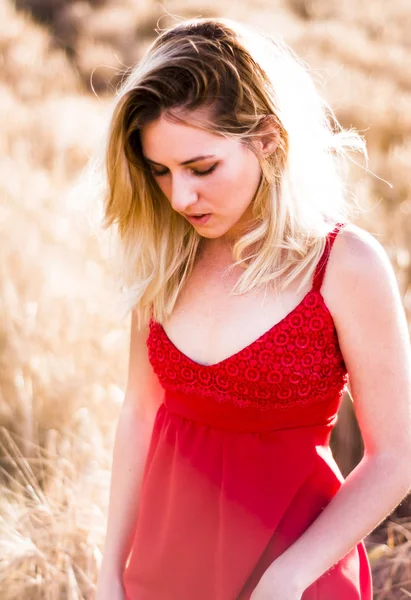 漂亮的金发女郎，在红色的连衣裙，在日落时的麦田 — 图库照片