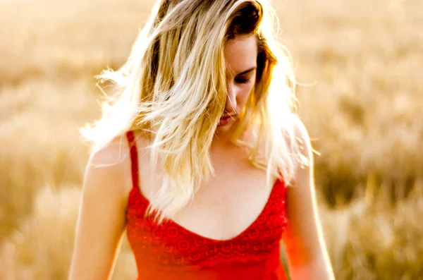 해질녘 밀 필드에 빨간 드레스에 아름 다운 금발 여자 — 스톡 사진