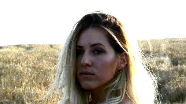 Beautiful blond woman in a red dress, on a wheat field at sunset — Stock Video