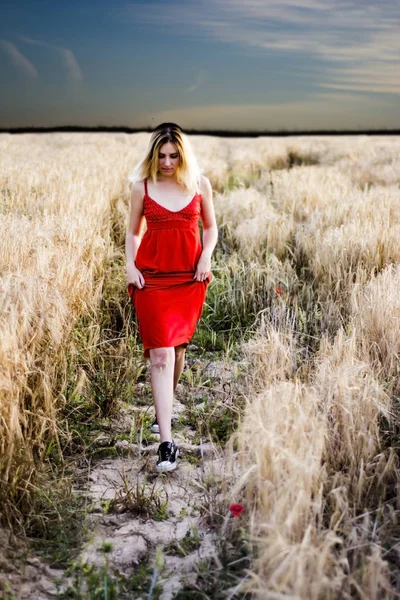 Mooie blonde vrouw in een rode jurk, op een tarweveld bij zonsondergang — Stockfoto