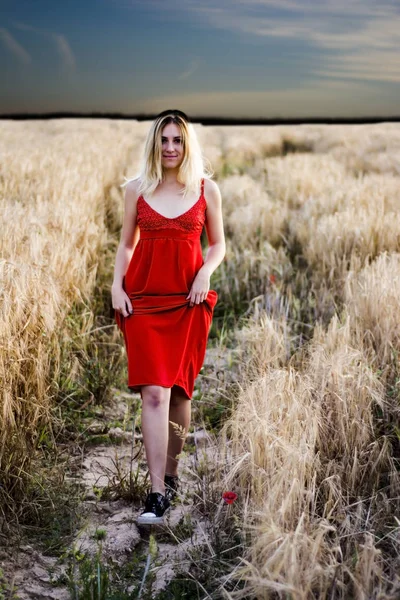 Красивая блондинка в красном платье, на пшеничном поле на закате — стоковое фото