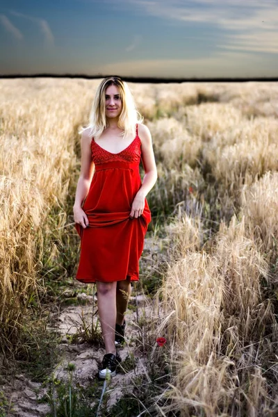 Mooie blonde vrouw in een rode jurk, op een tarweveld bij zonsondergang — Stockfoto