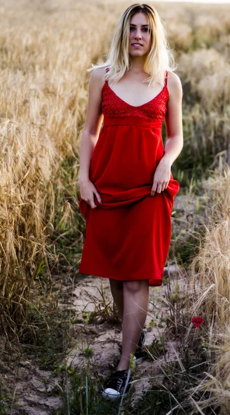 漂亮的金发女郎，在红色的连衣裙，在日落时的麦田 — 图库照片