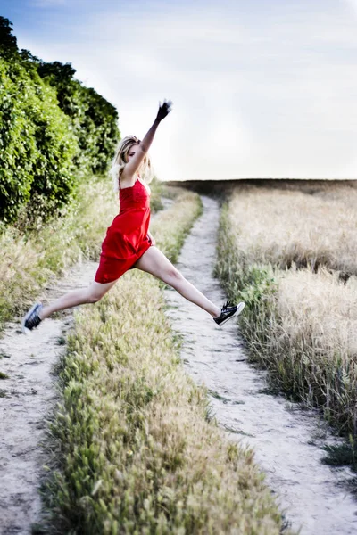 Beautiful blond woman in a red dress on a path in the wheat fiel Royalty Free Stock Photos