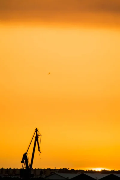 Lansekap burung bangau di pelabuhan saat matahari terbenam dengan awan — Stok Foto