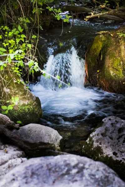 Bir nehir su ipeksi çalışan, kayalar ve ağaçlar peyzaj