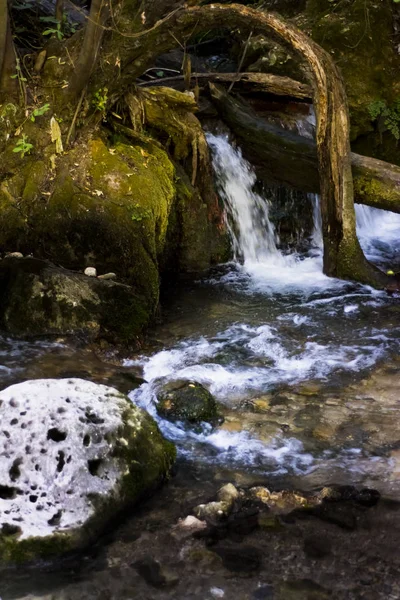 Krajina z říční vody tekoucí hedvábný, skály a stromy — Stock fotografie
