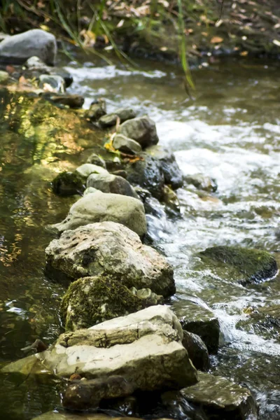 Krásné kameny v řece spolu s jeho reflexe — Stock fotografie