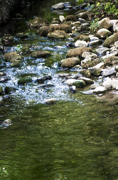 Güzel bir nehir onun yansıması ile birlikte kayalarda