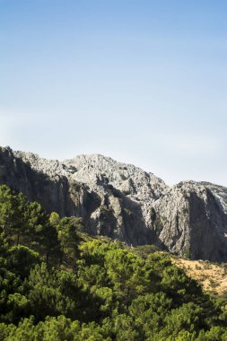 Ağaçlar dağ arka plan ve mavi gökyüzü ile peyzaj