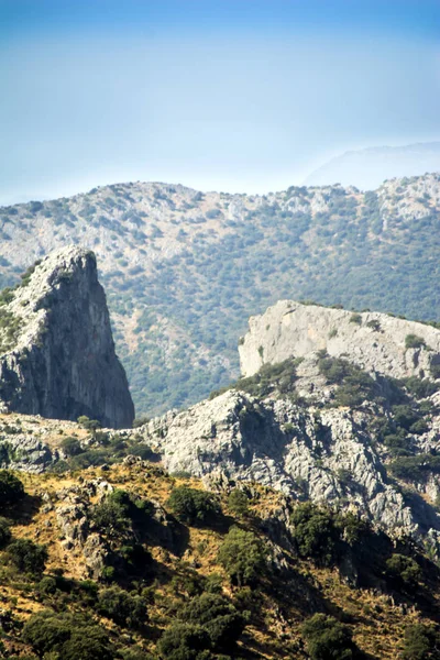 背景と青空で山の木の風景 — ストック写真