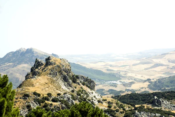 フィールドを背景に植えた山の風景 — ストック写真