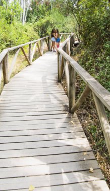Doğada ahşap bir yolda hiking iki güzel kadın