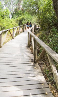 Doğada ahşap bir yolda hiking iki güzel kadın